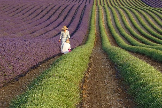 The Lavender Country - Private Tour With a Local Guide - Last Words