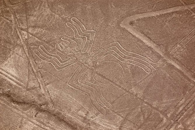 The Nazca Lines & Huacachina Oasis From Lima - Common questions