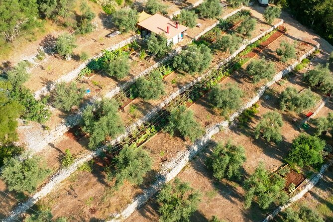The Olive Oil Experience @ Lefkada Micro Farm - Frequently Asked Questions