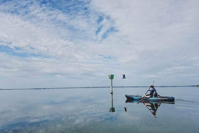 Thousand Island Mangrove Tunnel, Manatee & Dolphin Kayak Tour W/Cocoa Kayaking - Final Thoughts