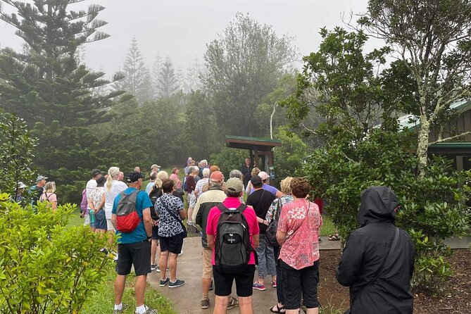 Three-Hour Guided Bushwalk With Breakfast, Cook Monument (Mar ) - Common questions