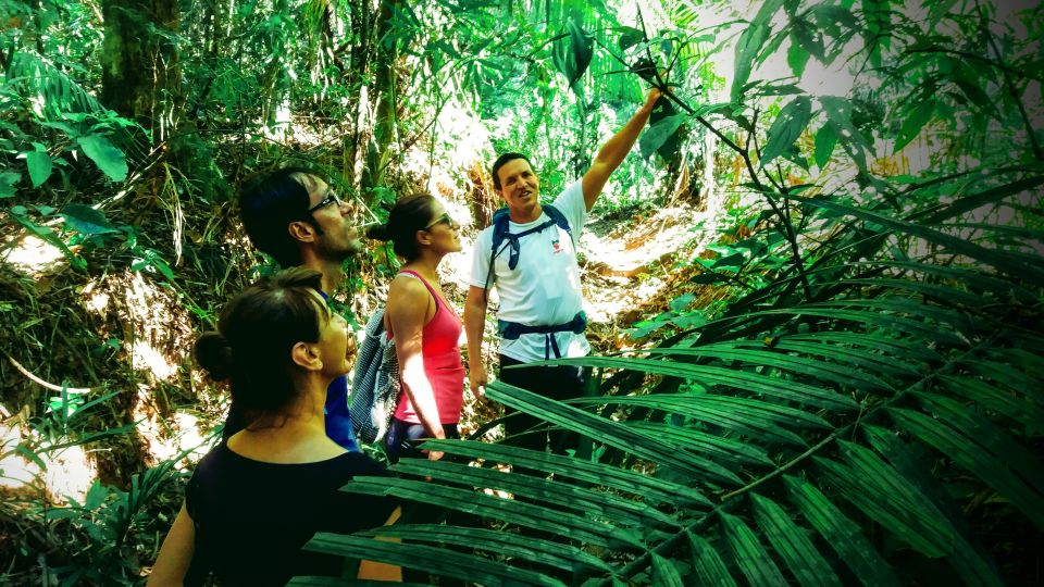 Tijuca Forest: Adventure & History Half-Day Hike - Last Words