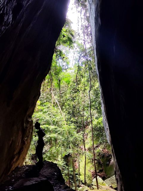 Tijuca Forests Hike: Caves, Waterfalls and Great Views - Last Words