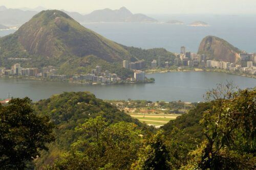 Tijuca Rain Forest Tour by Jeep From Rio De Janeiro - Last Words