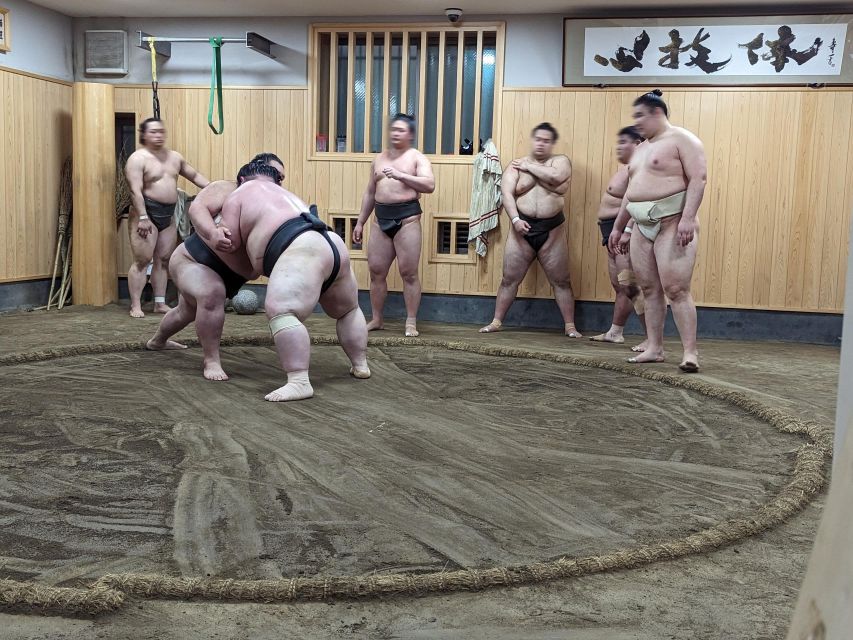 Tokyo: Morning Sumo Practice Viewing - Book Your Spot for This Unique Experience