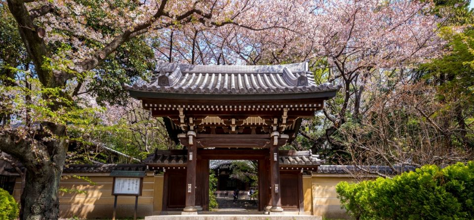 Tokyo: Private Cherry Blossom Experience - Tour Itinerary