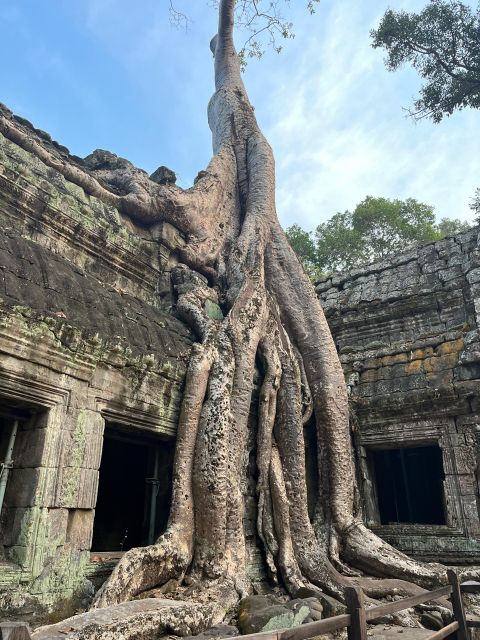 Tour De Friends - Discover Angkor Wat Full Day Bike Tour - Additional Information