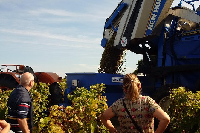 Tour of a Vineyard, Winery & Cellar With Wine Tasting in Vouvray, Loire Valley - Wine Tasting Experience