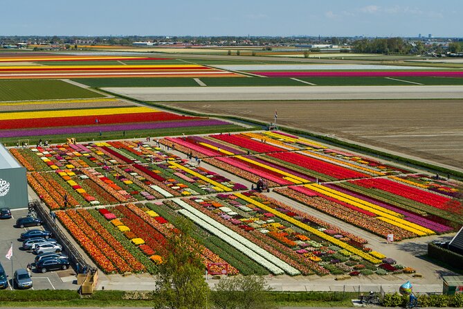 Tour to Giethoorn and Keukenhof Tulip Fields From Amsterdam - Last Words