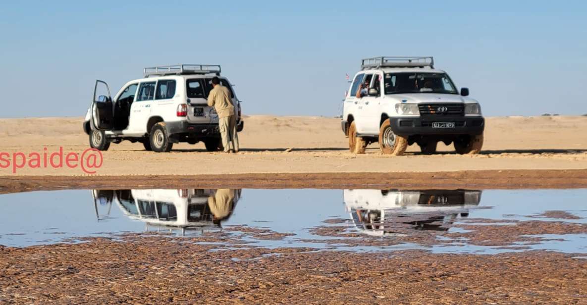 Tozeur: 2-Day Desert Overnight Stay in a Tent & Camel Trek - Last Words