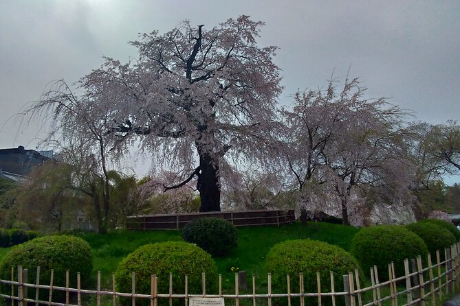 Traditional Kyoto Full-Day Bike Tour and Optional Sake Tasting - Additional Information