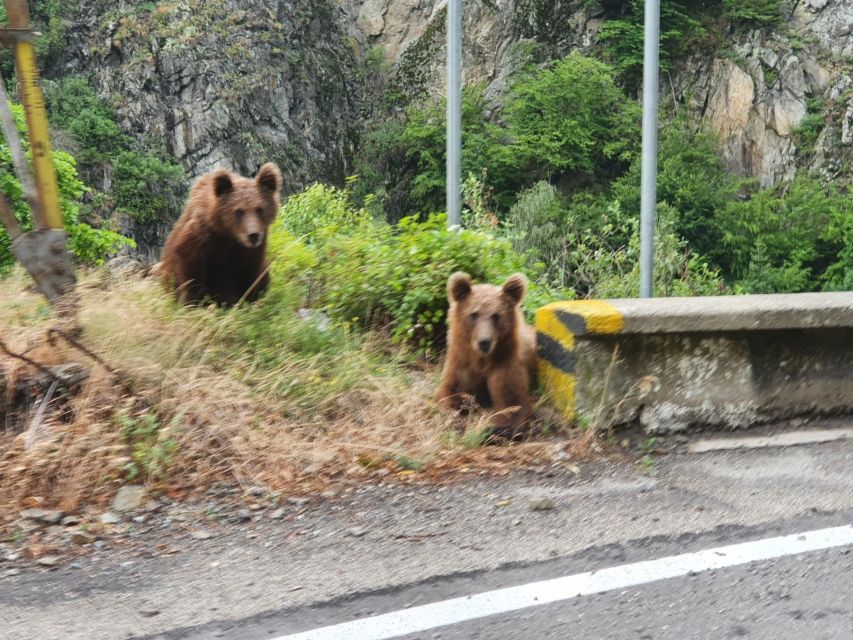 Transfagarasan Highway - Private Day Trip From Bucharest - Payment Options