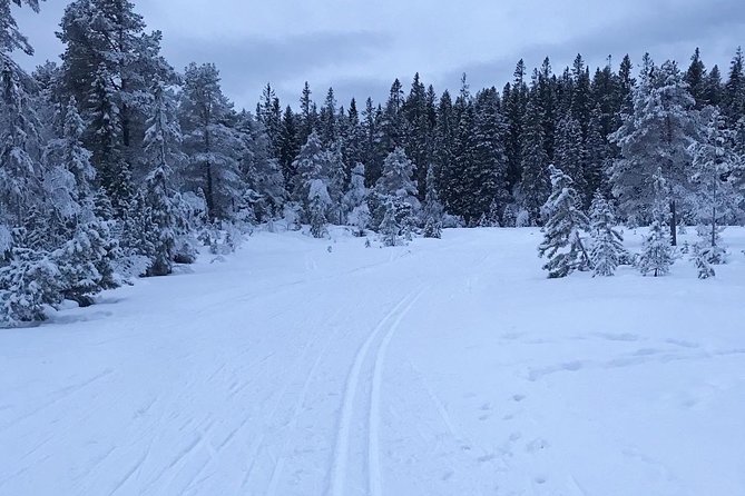 Trondheim Small-Group Cross-Country Skiing Adventure (Mar ) - Last Words