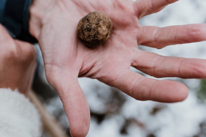 Truffle Hunting and Barolo Tasting Tour in the Alba Area - Last Words