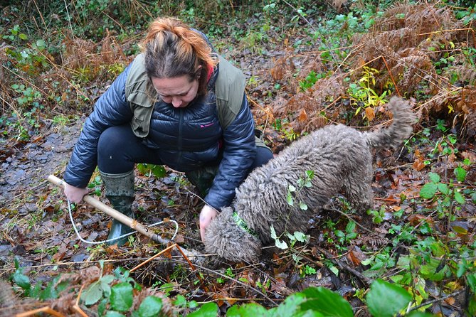 Truffle Hunting Experience With Lunch in San Miniato - Last Words