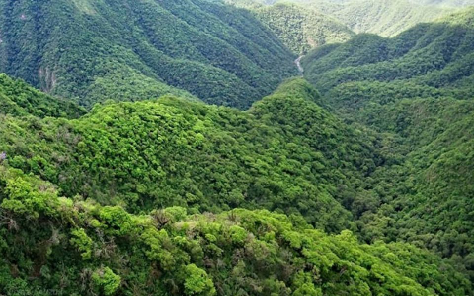 Tucumán: Yungas and Its Landscapes - Discovering El Siambóns Beauty