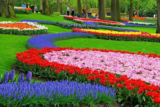 Tulip Experience and Keukenhof Flower Gardens Tour From Amsterdam - Common questions