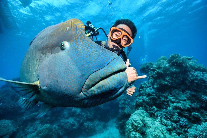 Tusa Reef Tours All Inclusive Great Barrier Reef Tour From Cairns - Common questions