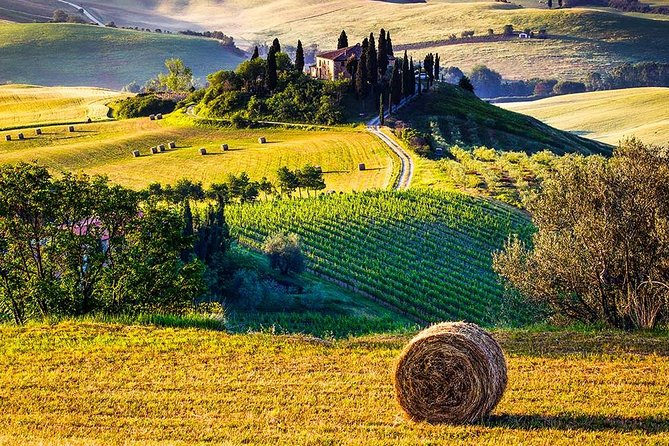 Tuscan Food and Wine Tour of Val Dorcia From Florence - Last Words