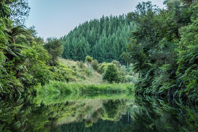 Twilight Kayak Glow Worm Tour - Additional Information