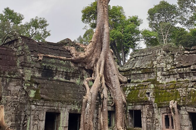 Two Days Angkor Tour - Tips for an Unforgettable Experience