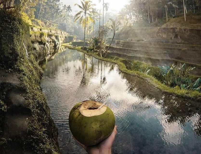 Ubud: All-Inclusive Tour With Optional Lunch - Common questions