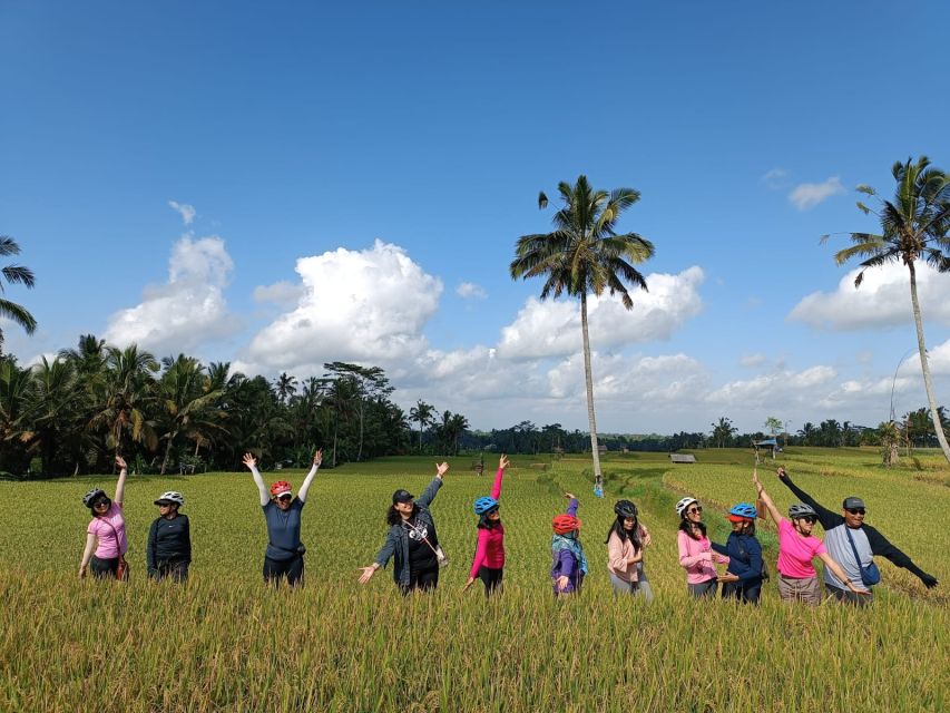 Ubud Downhill Cultural Cycling Tour With Rural and Meal - Last Words