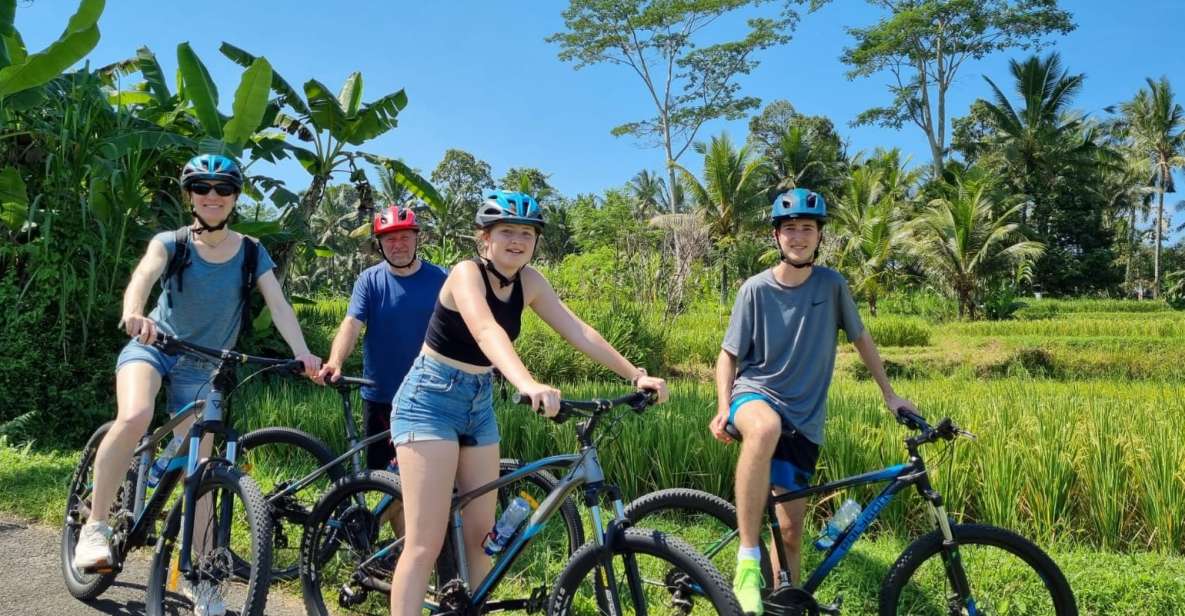 Ubud: Downhill Cycling With Volcano, Rice Terraces and Meal - Last Words