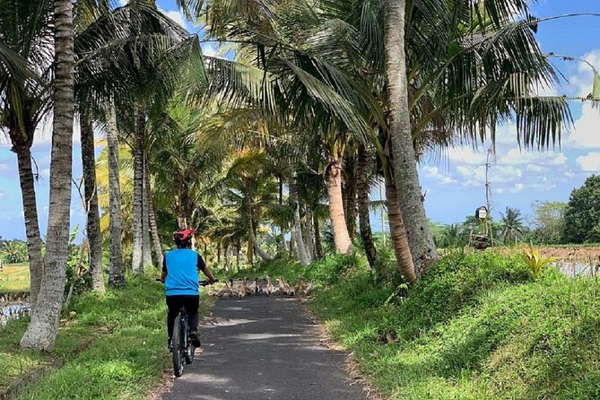 Ubud: Downhill Cycling With Volcano, Rice Terraces and Meal - Meal Experience