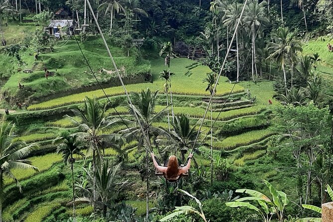 Ubud Private Transport-Only Tour With Stop at Rice Field Swing - Common questions