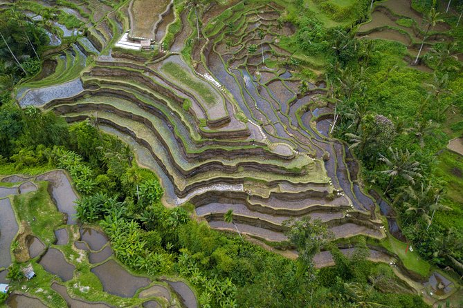 Ubud Top Attractions: Waterfalls, Temples and Rice Terraces - Tegalalang Rice Terrace