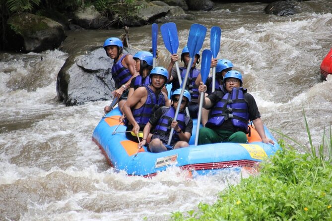 Ubud White-Water Rafting With Lunch and Private Transfers (Mar ) - Common questions