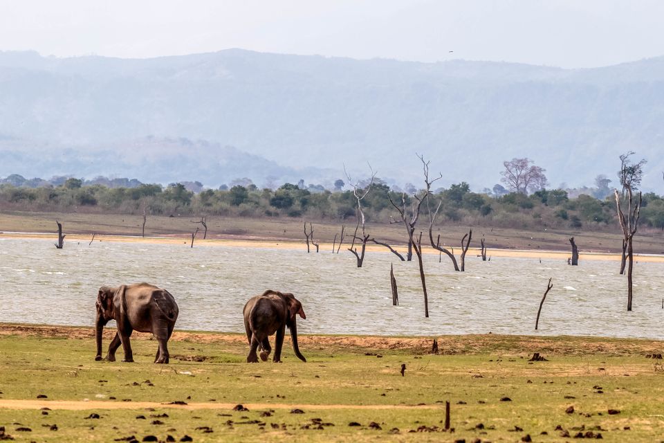 Udawalawa National Park: Private Safari - Common questions