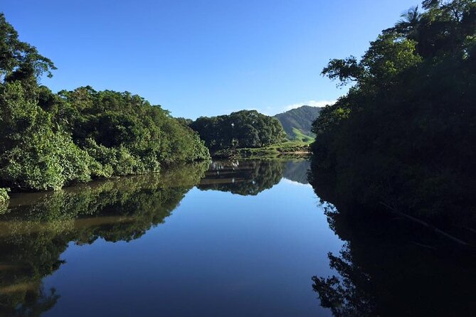 Ultimate Daintree Rainforest Wildlife Experience Cruise - Travel Logistics From Nearby Areas