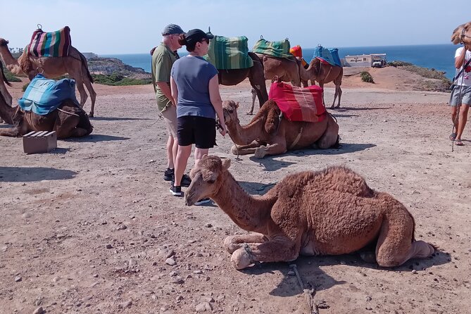 Unforgettable Tangier: Dive Into the Best Day Tour - Capturing Memories With Stunning Views