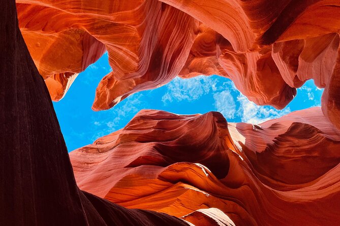 Upper and Lower Antelope Canyon Half Day Tour From Page - Last Words