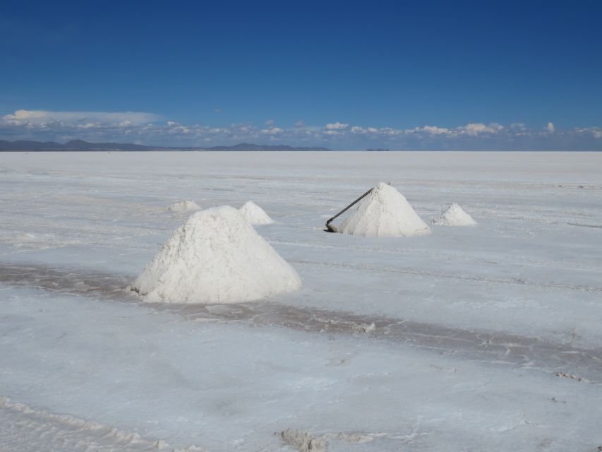 Uyuni: Full-Day Salt Flats Tour With Overnight Hotel Stay - Customer Reviews and Feedback