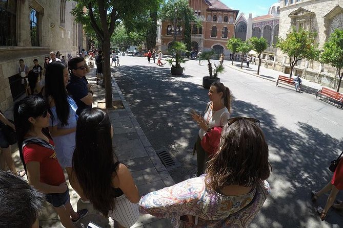 Valencia Private Walking Tour With Official Valencian Guide - Traveler Insights and Recommendations