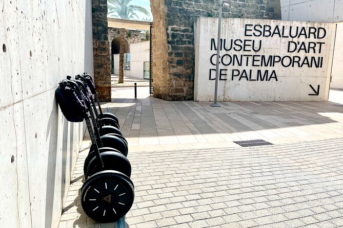 VIP Private Segway Tour of Palma - Traveler Feedback and Reviews