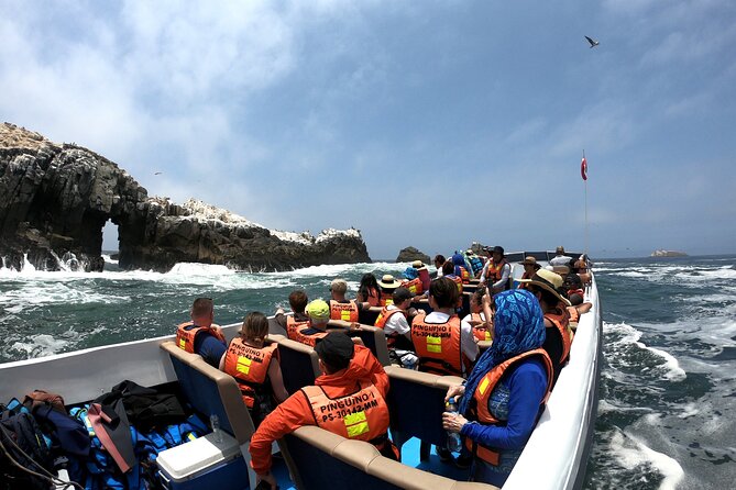 Visit the Sea Lions in Palomino Islands, in Lima Peru - Last Words