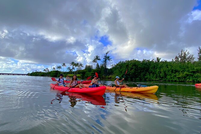 Wailua River and Secret Falls Kayak and Hiking Tour on Kauai - Family-Friendly Aspects