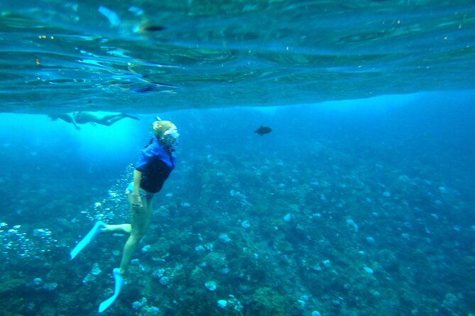 Wailuku Coral Gardens Snorkeling Tour  - Maui - Last Words
