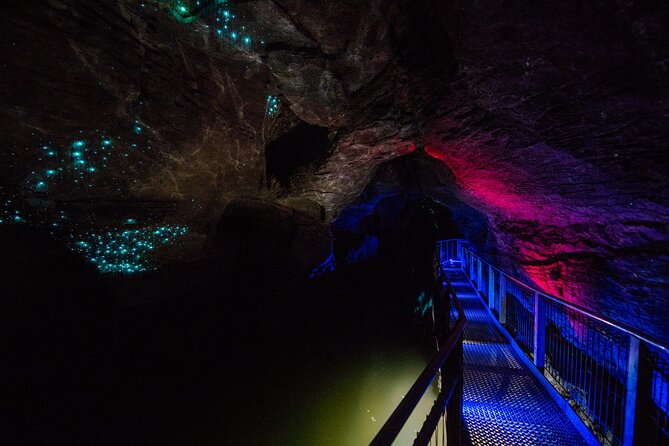 Waitomo Glowworm & Ruakuri Twin Cave - Private Tour From Auckland - Reviews and Customer Feedback