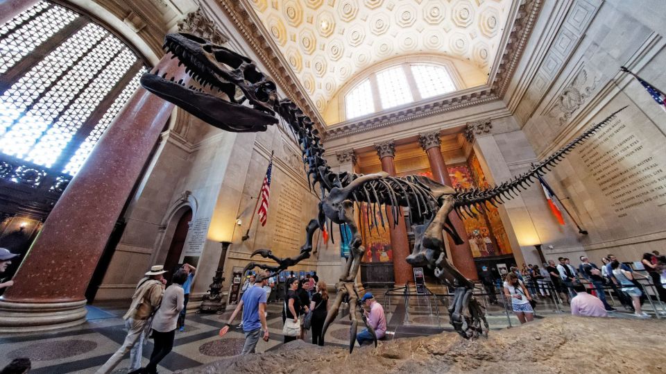 Washington DC: Museum of Natural History Private Guided Tour - Last Words