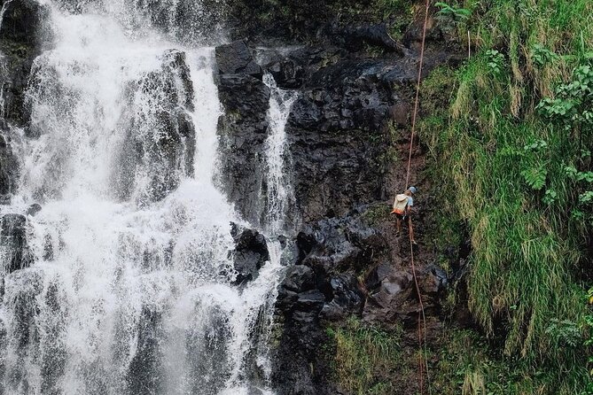 Waterfall Rappelling at Kulaniapia Falls: 120 Foot Drop, 15 Minutes From Hilo - Common questions