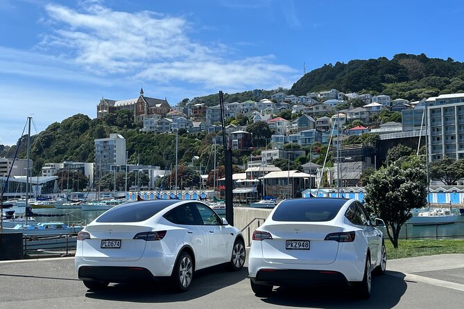 Wellington Full Day Private Tour in Electric Tesla SUV - Booking and Pricing Details