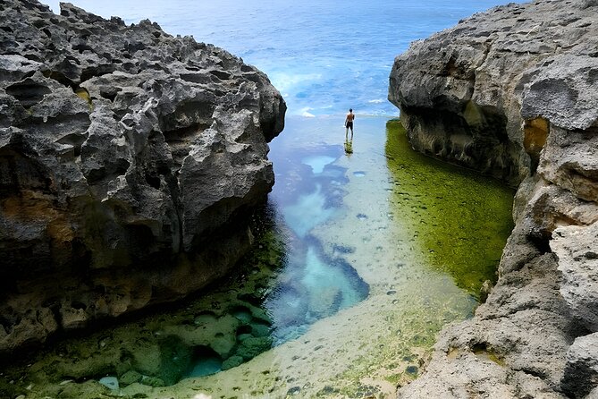 West Penida Island Private Day Tour With Lunch and Snorkeling (Mar ) - Customer Review Highlights