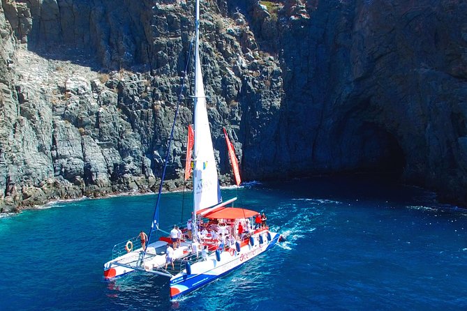 Whales Listening Eco-Catamaran Tour With Food Tasting - Last Words