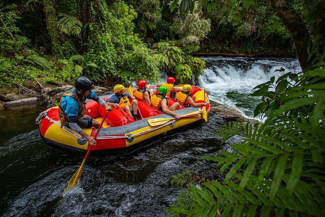 White Water Rafting - Kaituna Cascades, The Originals - Booking and Reservations