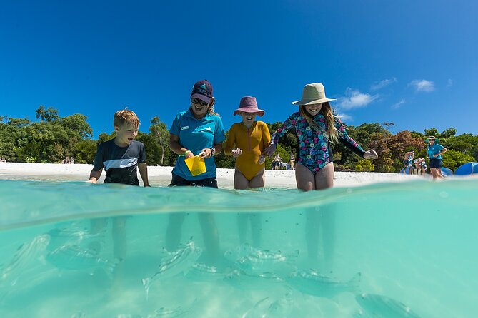 Whitehaven Beach and Hamilton Island Cruise From Airlie Beach - Last Words